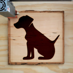 47969_wood-laser-1.jpg