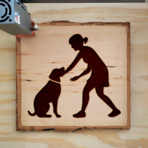 47971_wood-laser-1.jpg