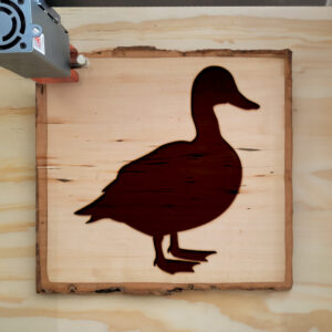 47987_wood-laser-1.jpg