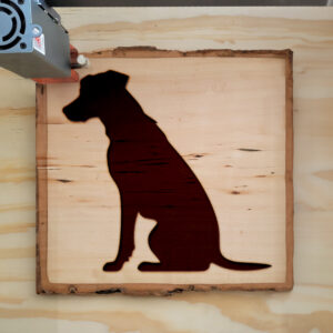 48005_wood-laser-1.jpg