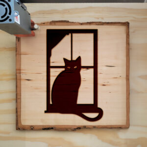 48013_wood-laser-1.jpg