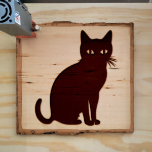 48019_wood-laser-1.jpg