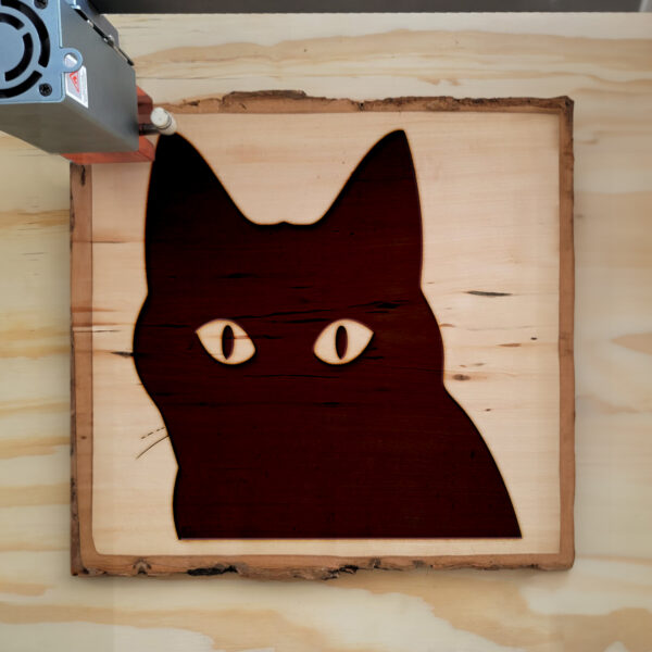 48031_wood-laser-1.jpg