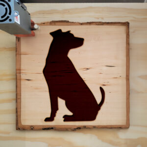 48045_wood-laser-1.jpg