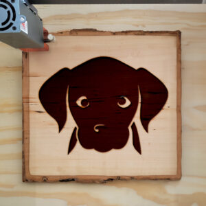 48051_wood-laser-1.jpg