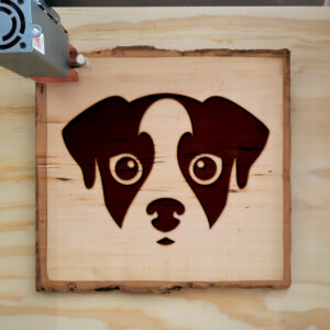 48055_wood-laser-1.jpg
