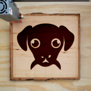 48057_wood-laser-1.jpg