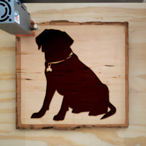 48065_wood-laser-1.jpg