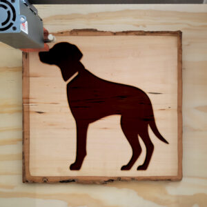 48067_wood-laser-1.jpg