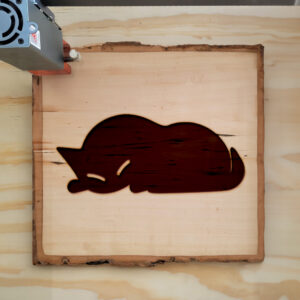 48069_wood-laser-1.jpg