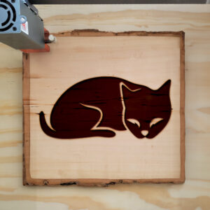 48071_wood-laser-1.jpg