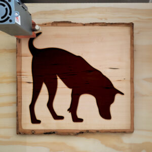 48077_wood-laser-1.jpg