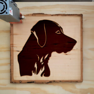 48079_wood-laser-1.jpg