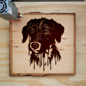 48097_wood-laser-1.jpg