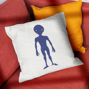 48099_pillow-3.jpg