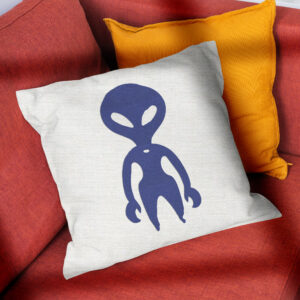 48107_pillow-3.jpg