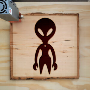 48107_wood-laser-1.jpg