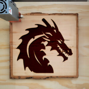 48123_wood-laser-1.jpg