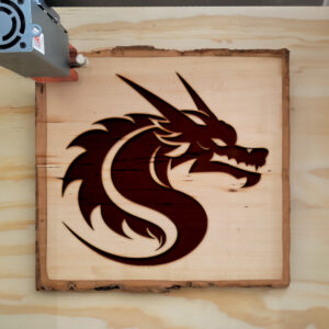 48127_wood-laser-1.jpg