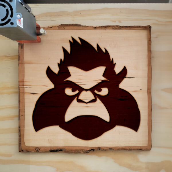 48177_wood-laser-1.jpg