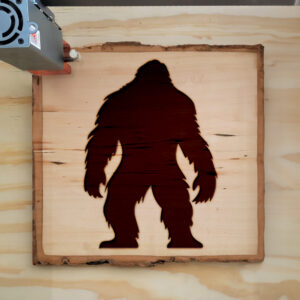 48181_wood-laser-1.jpg