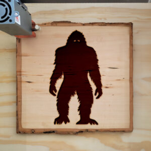 48183_wood-laser-1.jpg