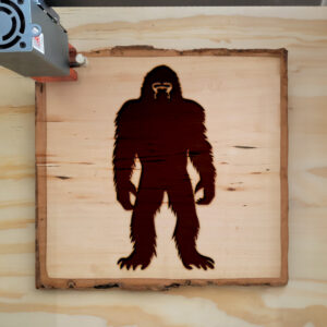 48185_wood-laser-1.jpg