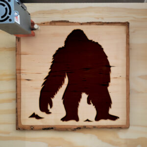 48206_wood-laser-1.jpg