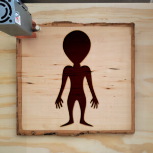 48216_wood-laser-1.jpg