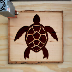 48244_wood-laser-1.jpg