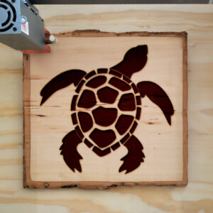 48248_wood-laser-1.jpg