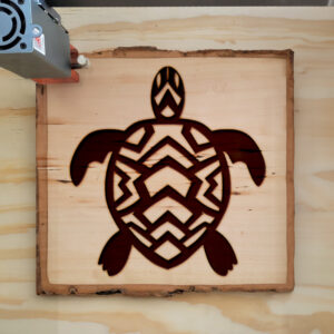 48250_wood-laser-1.jpg