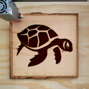 48254_wood-laser-1.jpg