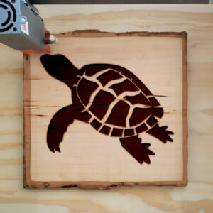 48258_wood-laser-1.jpg