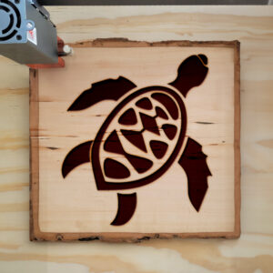 48266_wood-laser-1.jpg
