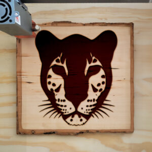 48320_wood-laser-1.jpg