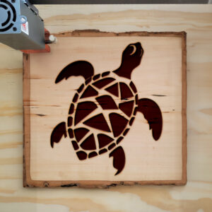 48449_wood-laser-1.jpg