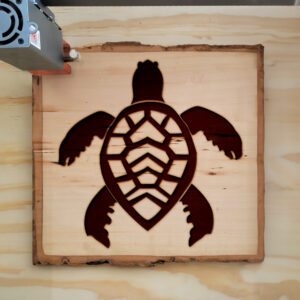 48455_wood-laser-1.jpg