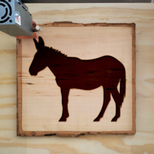 48469_wood-laser-1.jpg