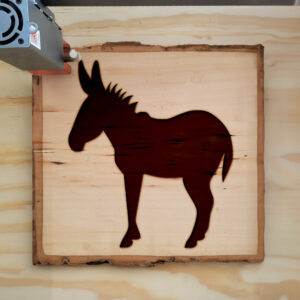 48471_wood-laser-1.jpg