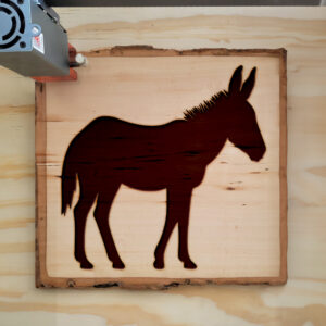 48475_wood-laser-1.jpg