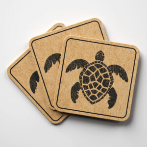 48485_coaster-1.jpg