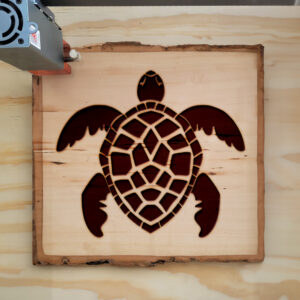 48485_wood-laser-1.jpg