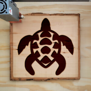 48487_wood-laser-1.jpg
