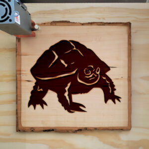 48497_wood-laser-1.jpg