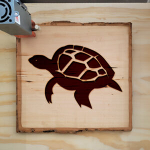 48506_wood-laser-1.jpg