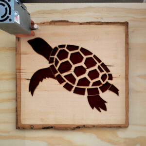 48509_wood-laser-1.jpg