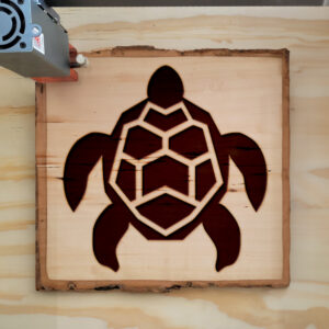 48513_wood-laser-1.jpg