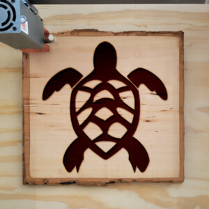 48520_wood-laser-1.jpg