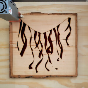 48590_wood-laser-1.jpg